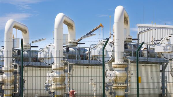 Центрально-европейский газовый хаб в Баумгартене