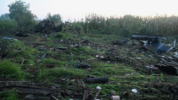 Обломки украинского военно-транспортного самолета Ан-12, разбившегося на севере Греции
