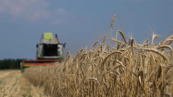 Уборка зерновых на освобожденных территориях Запорожской области