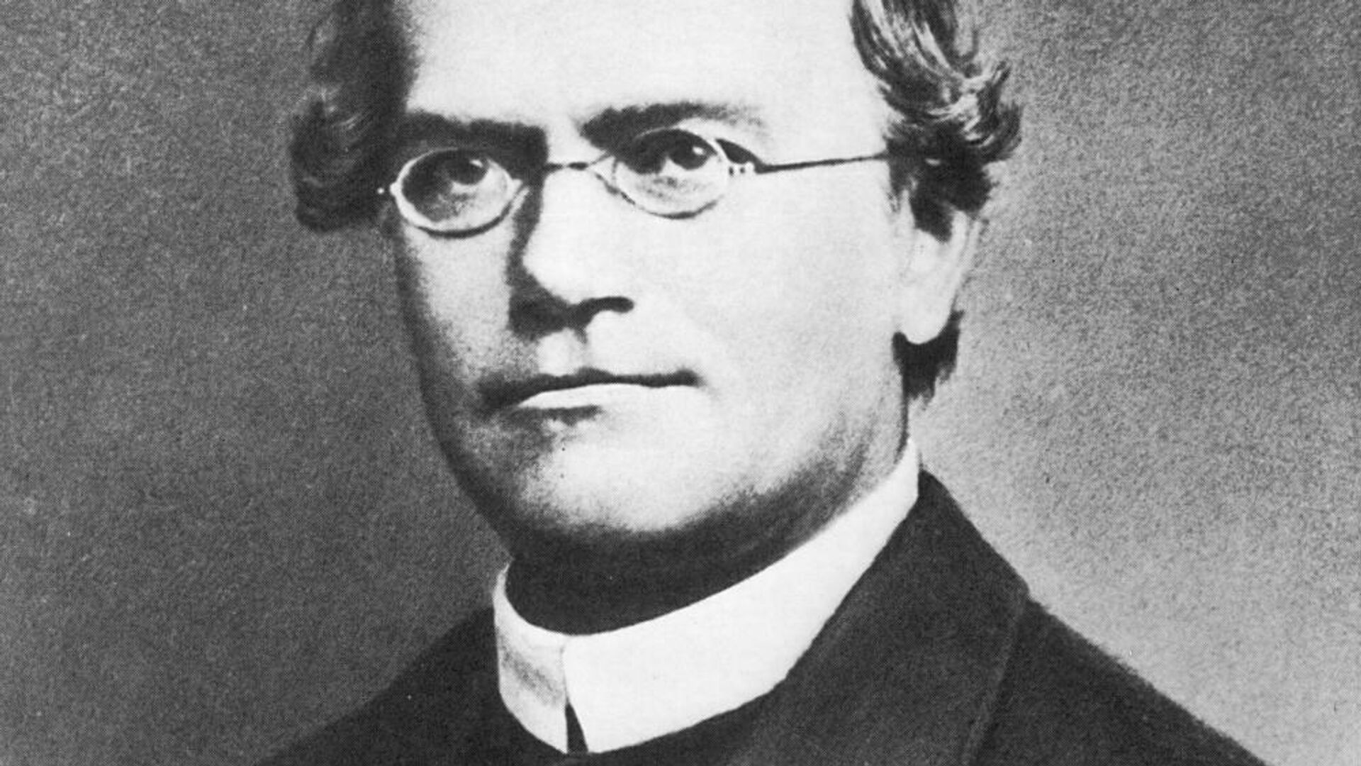 Грегор мендель. Грегор Иоганн Мендель (1822-1884 гг.). Gregor Johann Mendel. Мендель биолог.