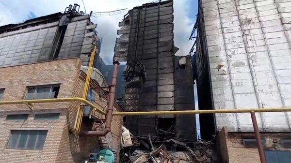 Пытались потушить – представитель Запорожской области о рухнувшей в городе Пологи крыше элеватора 
