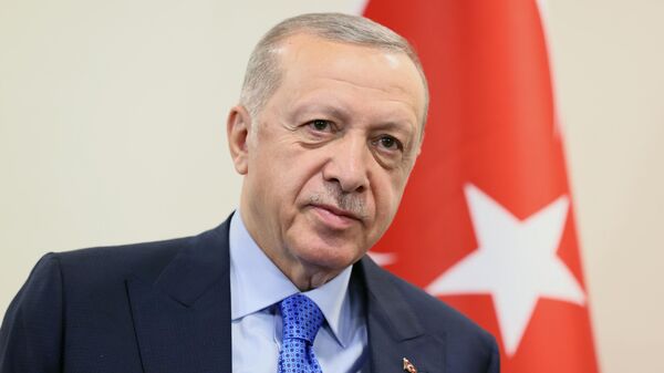 Президент Турции Реджеп Тайип Эрдоган во время встречи с президентом РФ Владимиром Путиным