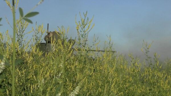 Кадры боевой работы подразделений ВДВ во время штурма украинского опорного пункта