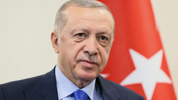 Запад пожинает плоды санкций против Путина, заявил Эрдоган