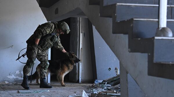 Военнослужащий группы разминирования международного противоминного центра ВС РФ со служебной собакой производит разминирование мариупольского аэропорта