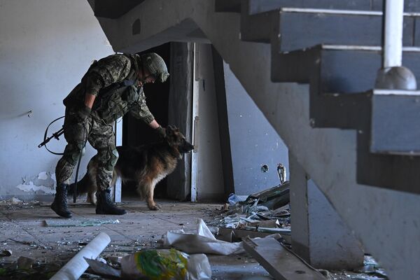 Военнослужащий группы разминирования международного противоминного центра ВС РФ со служебной собакой производит разминирование мариупольского аэропорта