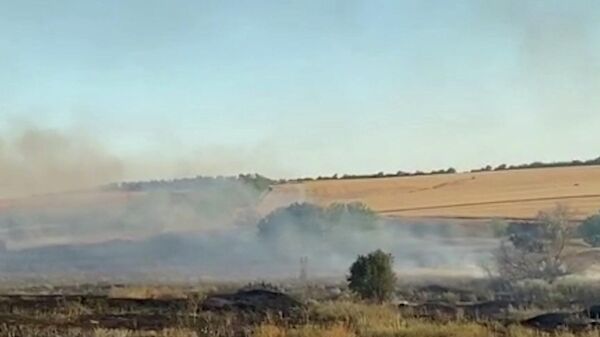  Дым над полями и звуки обстрела: ВСУ подожгли урожай пшеницы в Запорожской области