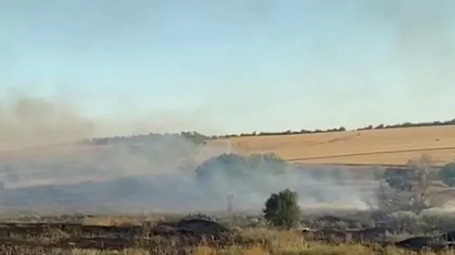  Дым над полями и звуки обстрела: ВСУ подожгли урожай пшеницы в Запорожской области