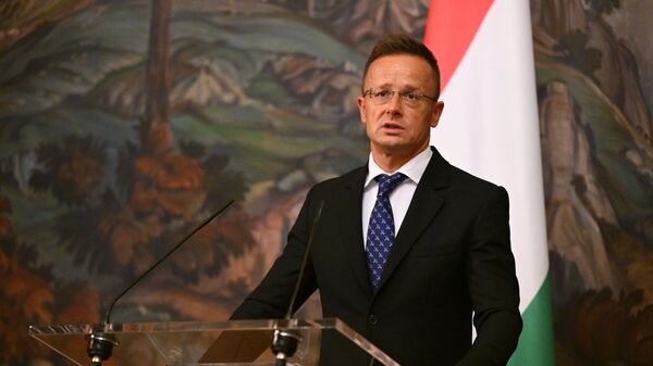 Министр иностранных дел и внешнеэкономических связей Венгрии Петер Сийярто 