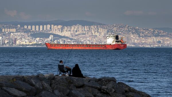 Грузовое судно в ожидании доступа к проливу Босфор в Стамбуле