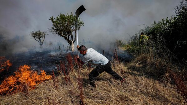 Местный житель тушит лесной пожар в Табаре, Испания