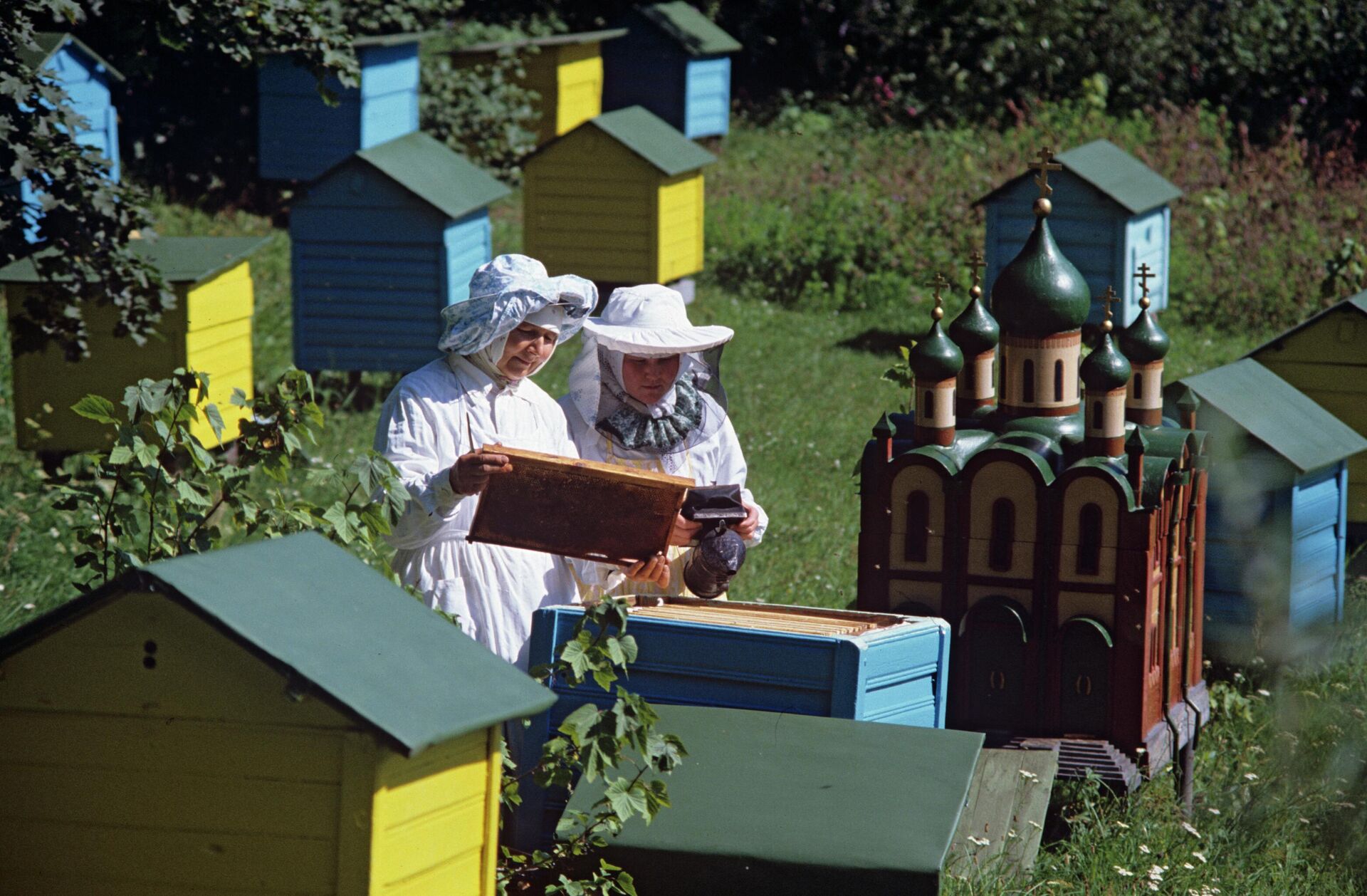 Пасека на территории монастыря  - РИА Новости, 1920, 22.07.2022