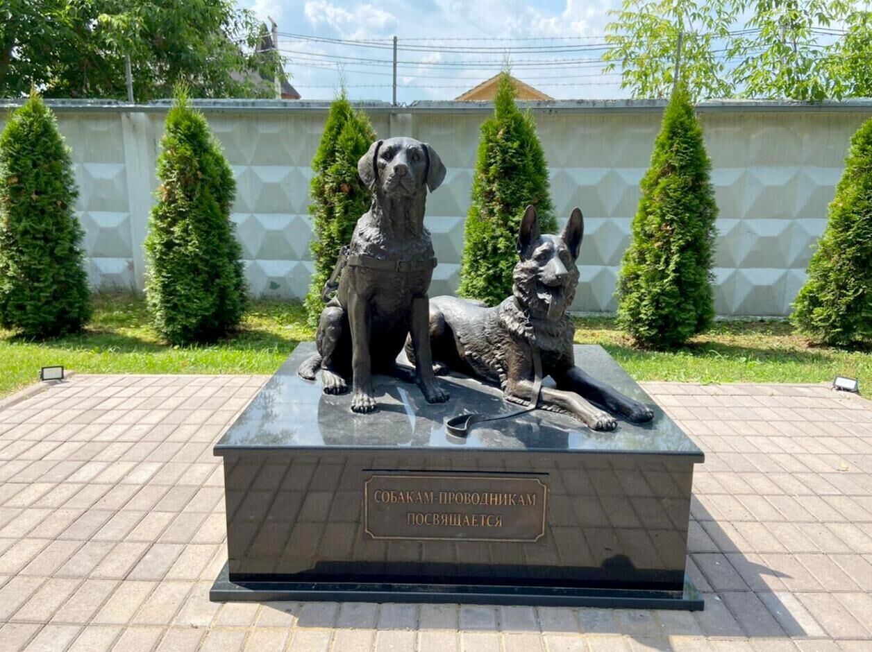 Памятник собакам-поводырям - РИА Новости, 1920, 26.07.2022