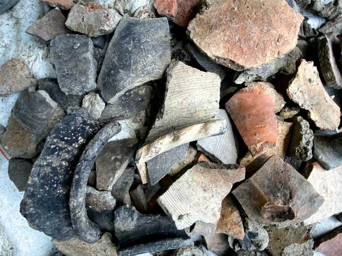 1804946389_0:0:2363:1772_1440x900_80_0_1