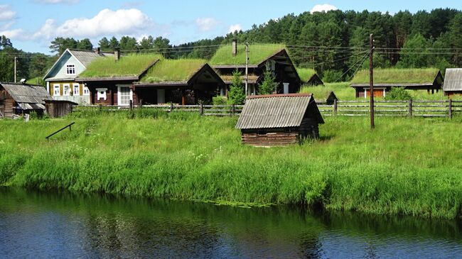 Ярославичи, дома с травой на крыше сейчас продаются