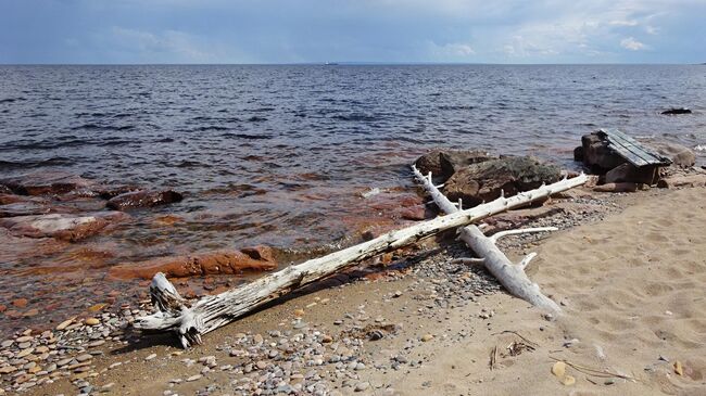 Памятник природы Щелейки, песчаный пляж на Онежском озере