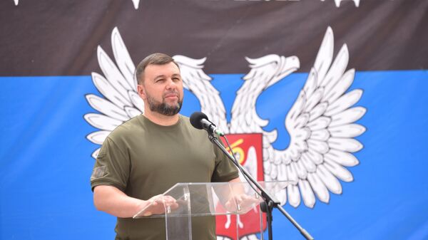 Киев во время референдумов попытается нанести ущерб, заявил Пушилин
