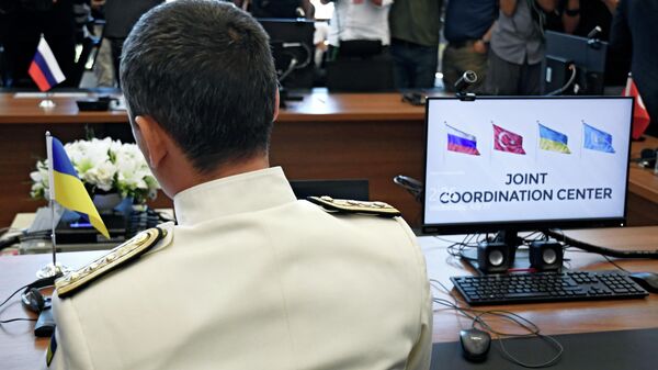Два сухогруза с зерном вышли из украинских портов, заявили в Турции