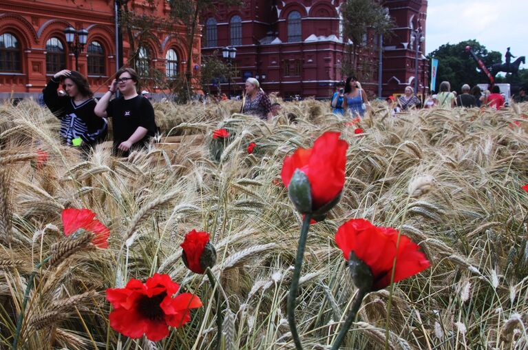 Посетители инсталляции Русское поле во время фестиваля Цветочный джем на переходе от Манежной площади к Площади Революции в Москве