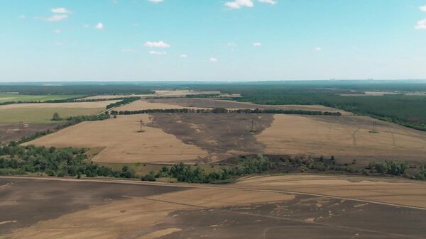 Кадры сгоревшей пшеницы из-за обстрелов ВСУ в поселке Торское