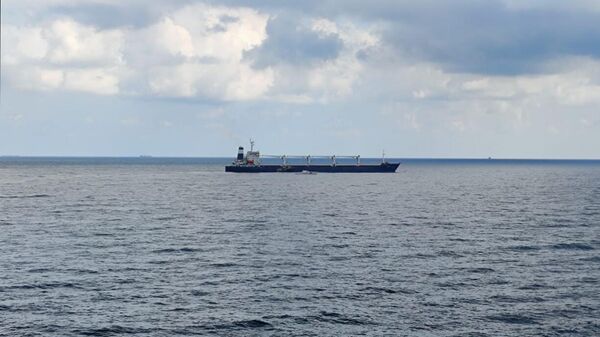 Сухогруз Razoni - первое судно, прибывающее с украинским зерном в Стамбул
