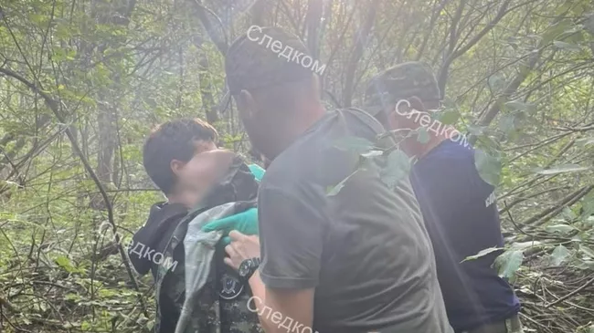 Пропавший в Великоустюгском районе Вологодской области 3-летний ребенок найден живым