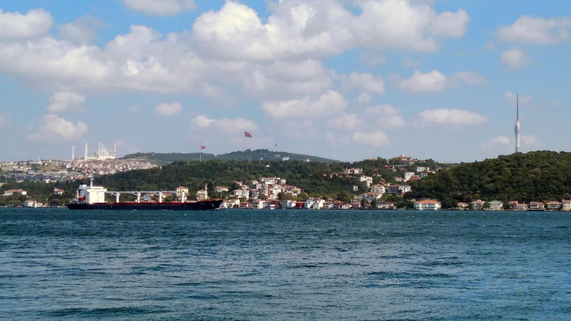 Сухогруз Razoni - первое судно, прибывшее с украинским зерном, выходит после досмотра из порта Стамбула - РИА Новости, 1920, 01.11.2022