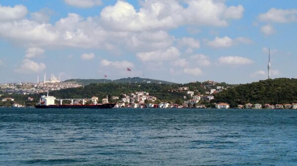 Сухогруз с украинским зерном, выходит после досмотра из порта Стамбула