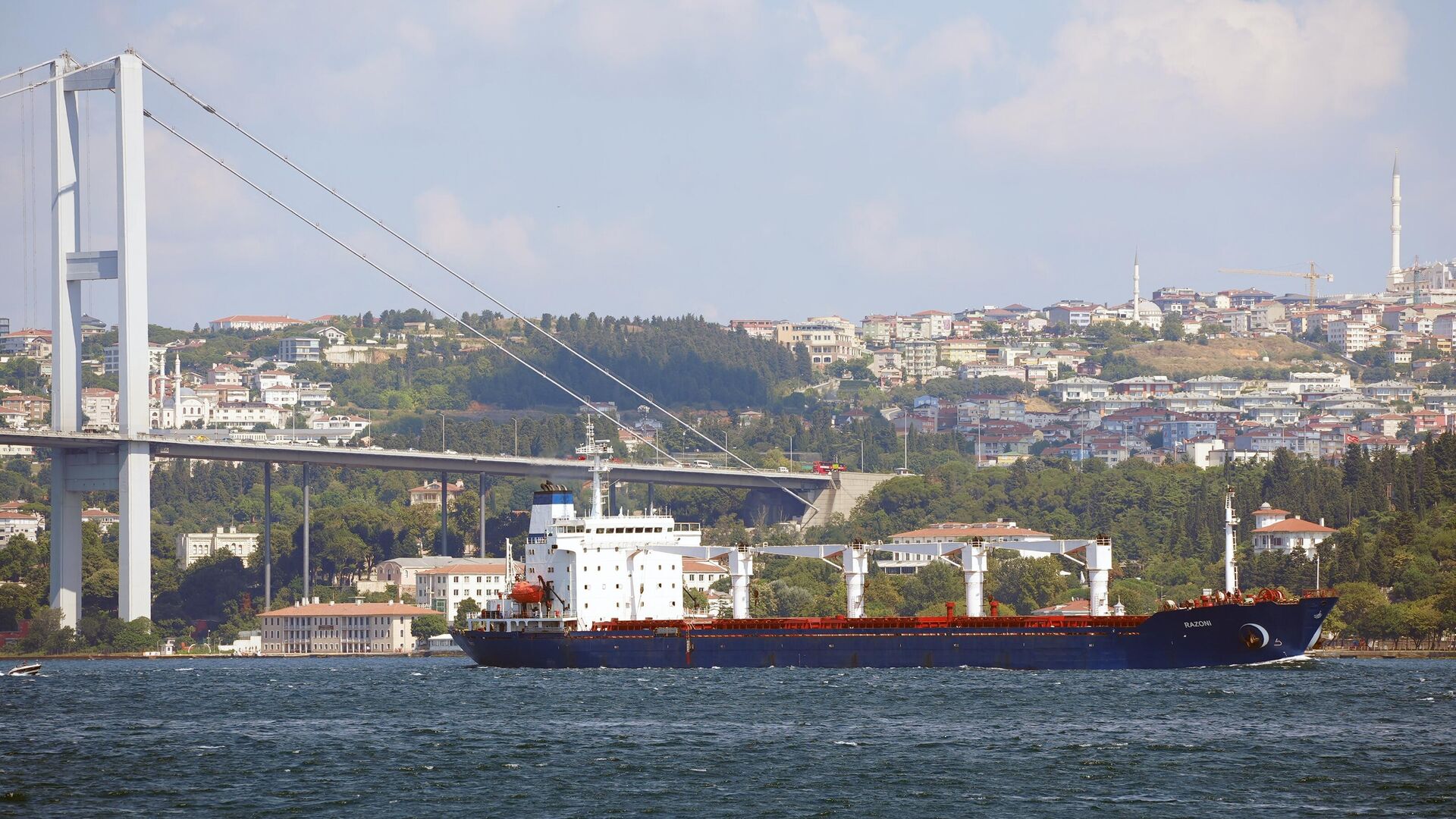 Сухогруз Razoni - первое судно, прибывшее с украинским зерном, выходит после досмотра из порта Стамбула - РИА Новости, 1920, 14.09.2022