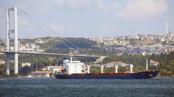 Сухогруз Razoni - первое судно, прибывшее с украинским зерном, выходит после досмотра из порта Стамбула