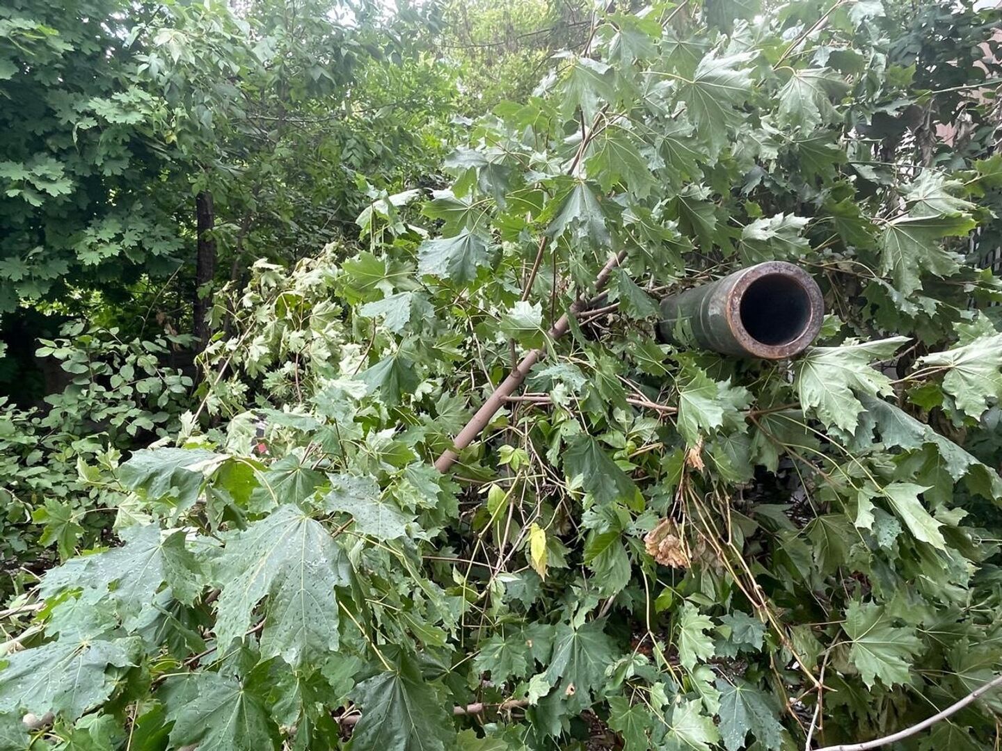 Замаскированный танк в Киевском районе Донецка Замаскированный танк в Киевском районе Донецка