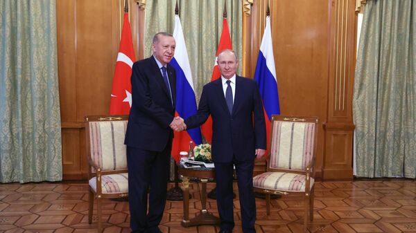 Президент России Владимир Путин и президент Турции Реджеп Тайип Эрдоган во время встречи