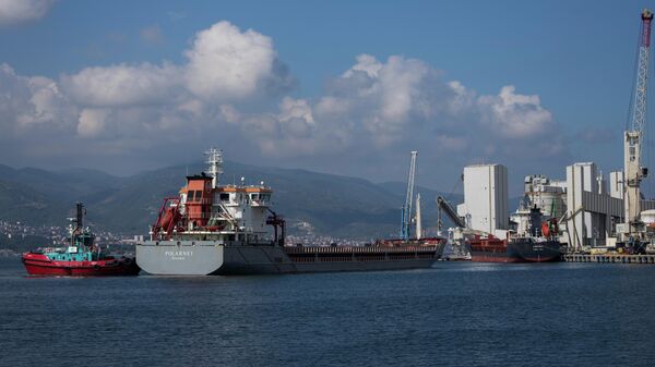 Судно Polarnet прибывает в порт Дериндже в Измитском заливе, Турция
