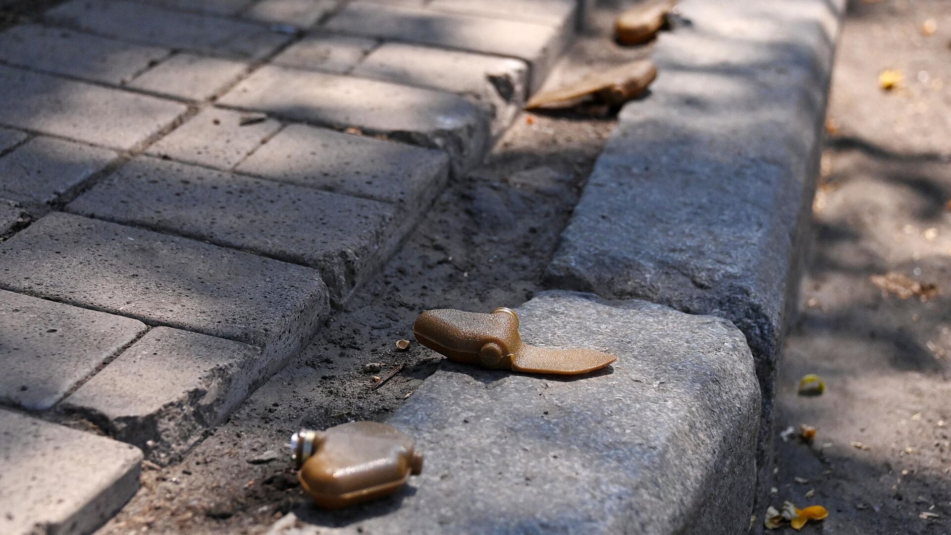 Противопехотные фугасные мины (ПФМ-1) Лепесток на центральной улицы Донецка - РИА Новости, 1920, 16.08.2023