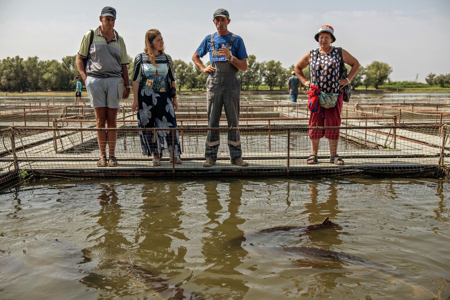Туристы около рыбных бассейнов на территории осетровой фермы Астраханская фишка