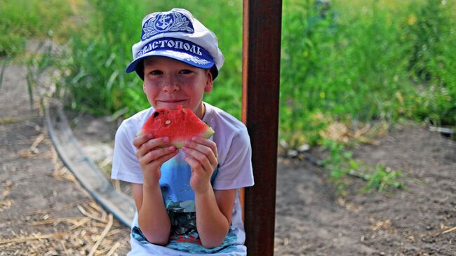 Мальчик дегустирует арбуз в селекционно-семеноводческое предприятие Мастер семя в Камызякском районе Астраханской области