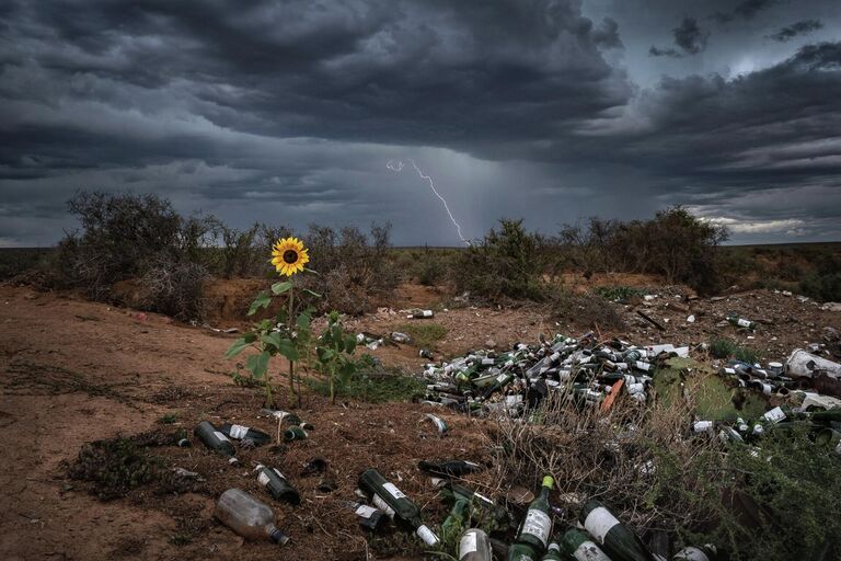 Работа фотографа Bertus Hanekom Nature Fights Back, занявшая 1 место в категории Пейзажи фотоконкурса Nature TTL Photographer of the Year 2022