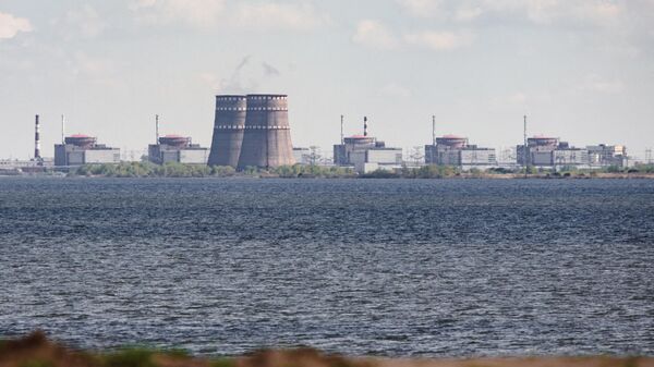 Вид на Запорожскую АЭС в Энергодаре