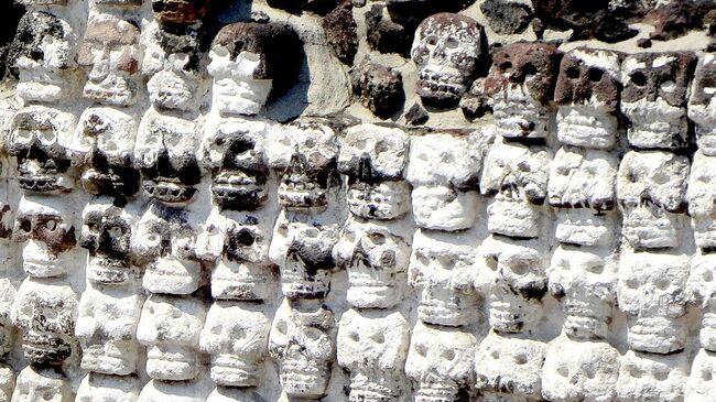 Раскопки цомпантли из Темпло Майор в современном Мехико