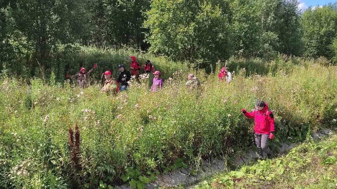 Поиски пропавшей девочки в Чусовском городском округе Пермского края - РИА Новости, 1920, 15.08.2022