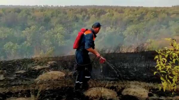 Работа сотрудников МЧС на месте ликвидации лесного пожара в Усть-Донецком районе Ростовской области 