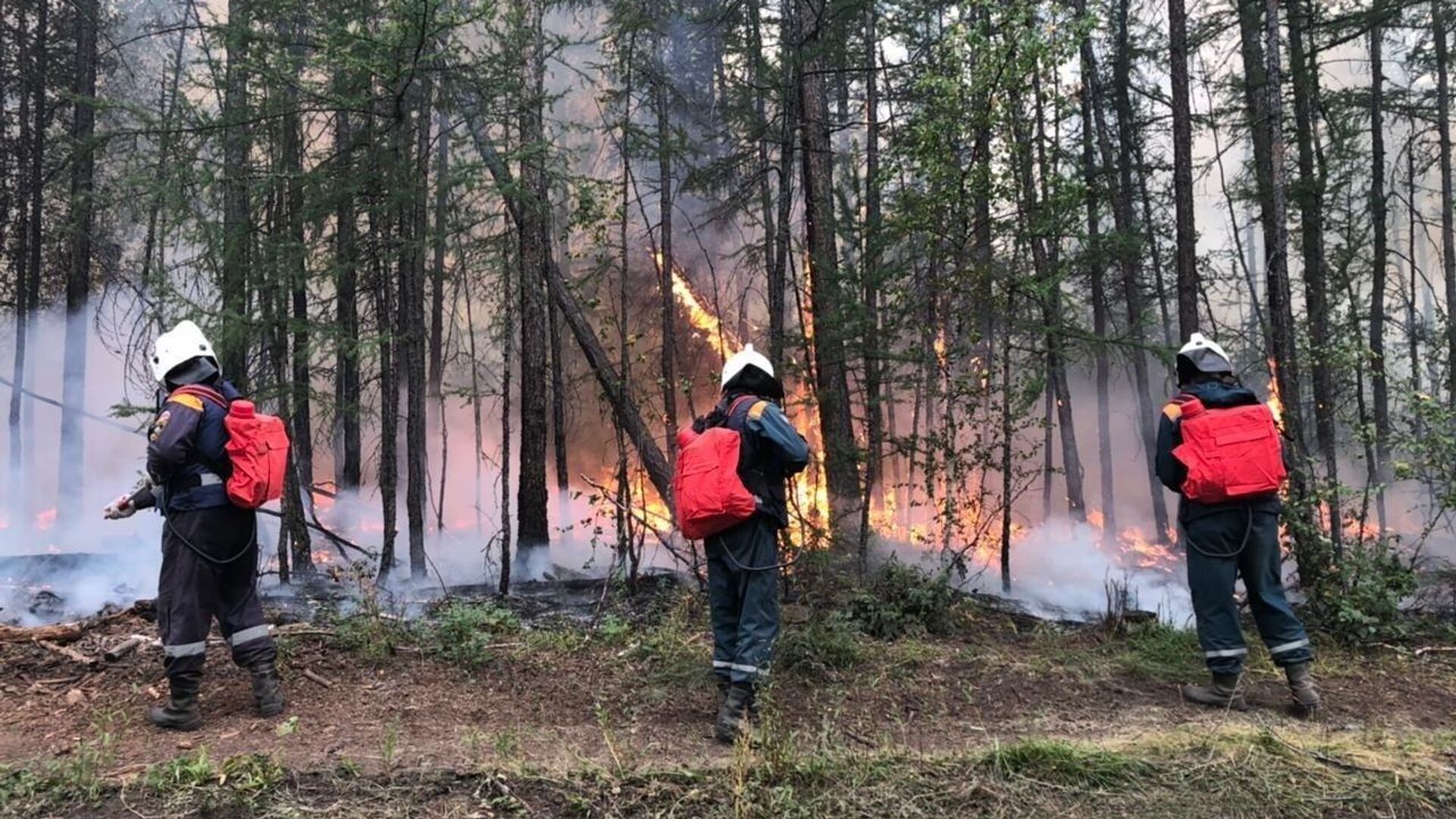 Ликвидация лесного пожара на территории Якутии - РИА Новости, 1920, 07.08.2023