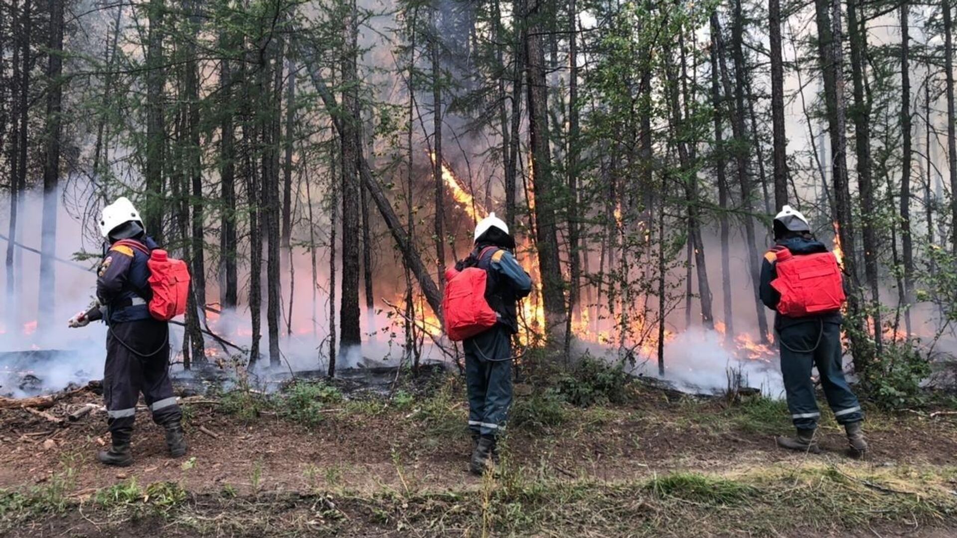 Ликвидация лесного пожара на территории Якутии - РИА Новости, 1920, 10.07.2023