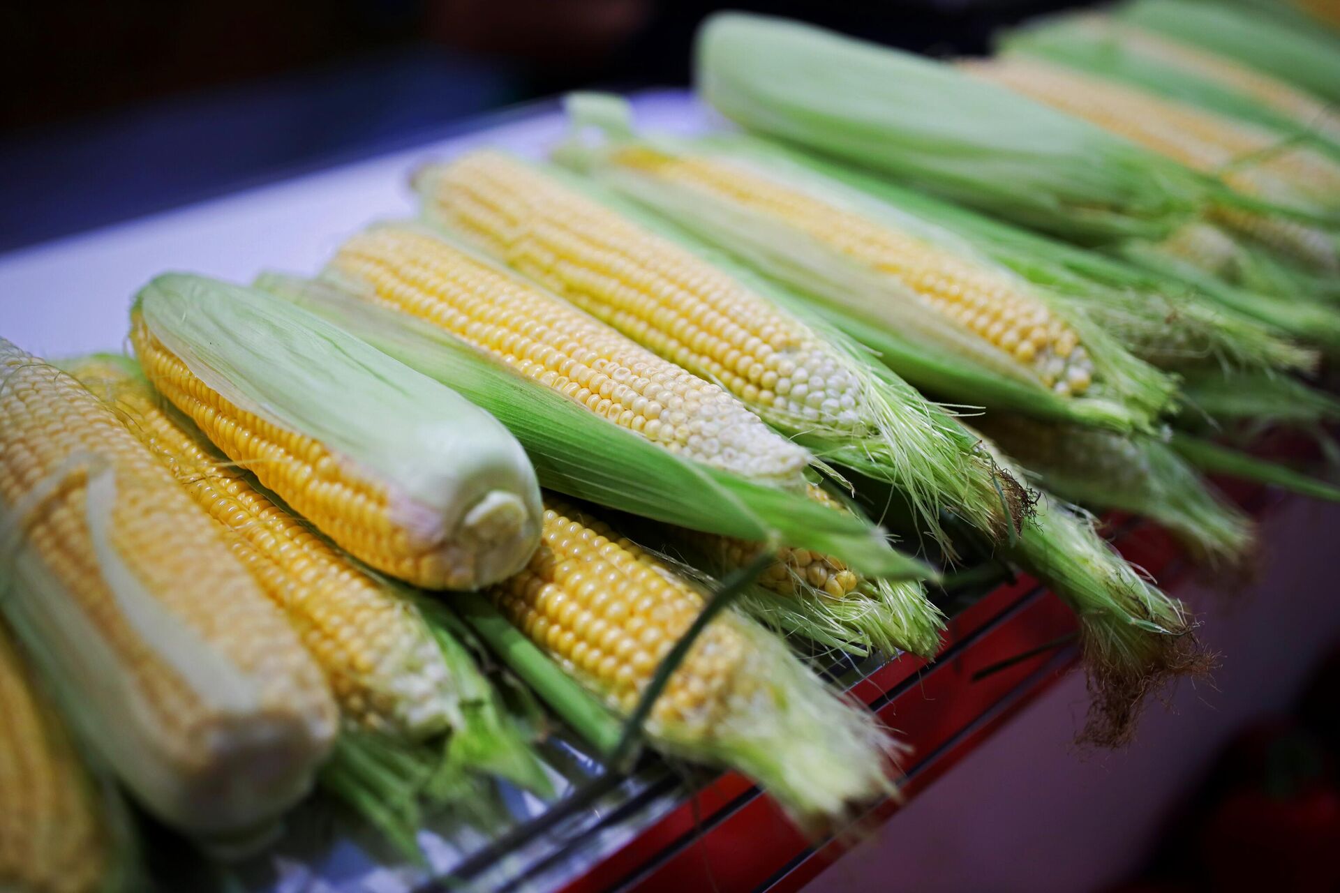 Как варить кукурузу: сколько времени нужно готовить в кастрюле