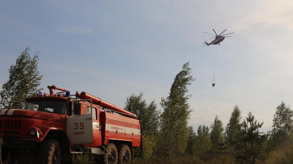 Тушение природных пожаров в Рязанской области