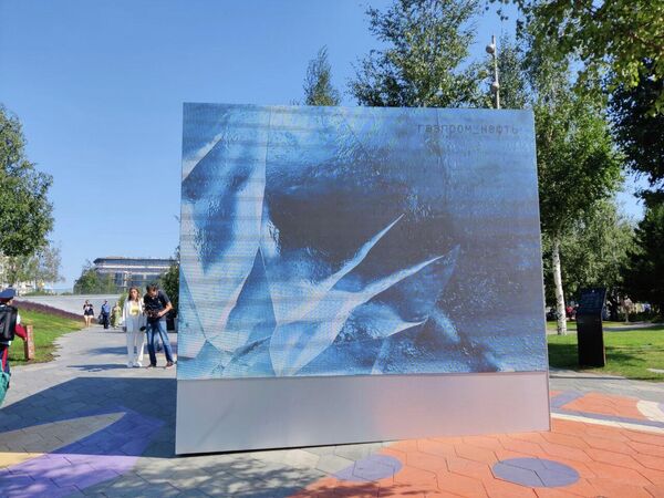 Фестиваль РГО. Специальный куб, где в 3D формате можно рассмотреть необычный лед и жителей морских глубин