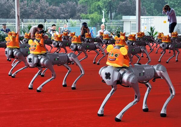 Роботы-собаки во время танцевального перформанса на Всемирной конференции робототехники в Пекине