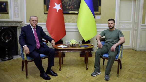 Президент Турции Реджеп Тайип Эрдоган и президент Украины Владимир Зеленский во время встречи во Львове
