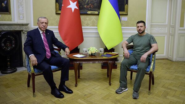 Эрдоган обсудил во Львове обмен военнопленными между Москвой и Киевом