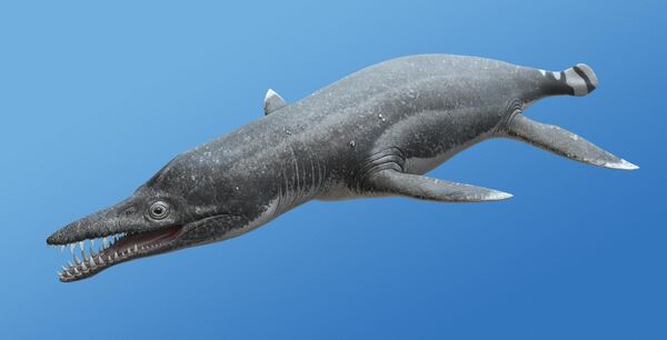 Pliosaurus rossicus (иллюстрация А. Атучина)